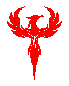 Dynasty